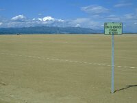 E, Tarragona, Deltebre, El Fangar 52, Saxifraga-Jan van der Straaten