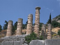 GR, Fokida, Delphi 2, Saxifraga-Jan van der Straaten