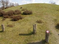 NL, Limburg, Bergen, de Hamert, Koningsgraf 2, Saxifraga-Foto Fitis-Sytske Dijksen