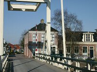 NL, Friesland, Nordeast-Fryslan, Birdaard 3, Saxifraga-Hans Boll