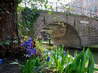 NL, Utrecht, Utrecht, Nieuwe Gracht 4, Saxifraga-Foto Fitis-Sytske Dijksen