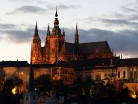 CZ, Praha, Praha, Prazsky Hrad 2, Saxifraga-Sytske Dijksen