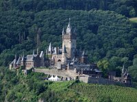 D, Rheinland-Pfalz, Cochem, Reichsburg Cochem 2, Saxifraga-Sytske Dijksen