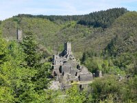 D, Rheinland-Pfalz, Manderscheid, Niederburg & Oberburg 2, Saxifraga-Tom Heijnen