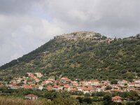 GR, Ionia Nisia, Kefalonia, Aghios Georgios 2, Saxifraga-Foto Fitis-Sytske Dijksen