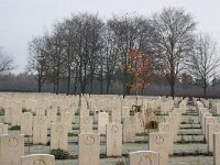 NL, Gelderland, Berg en Dal, Groesbeek, Canadian Cemetery 1, Saxifraga-Foto Fitis-Sytske Dijksen