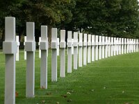 NL, Limburg, Eijsden-Margraten, American Cemetery 2, Saxifraga-Foto Fitis-Sytske Dijksen