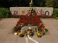 NL, Noord-Holland, Texel, Loladze 1, Saxifraga-Foto Fitis-Sytske Dijksen