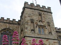 GB, Cornwall, Bodmin 4, Saxifraga-Foto Fitis-Sytske Dijksen