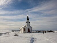N, Finnmark, Sor-Varanger, Nesseby 4, Saxifraga-Bart Vastenhouw