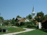 SI, Dolensjka, Trebnje, Zubina 2, Saxifraga-Jan van der Straaten