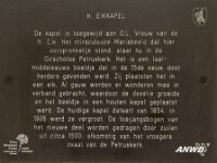 NL, Noord-Brabant, Oirschot, De Heilige Eik 4, Saxifraga-Jan van der Straaten