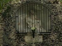 NL, Noord-Brabant, Oirschot, De Heilige Eik 7, Saxifraga-Jan van der Straaten