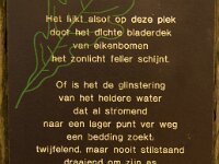 NL, Noord-Brabant, Oirschot, De Heilige Eik 9, Saxifraga-Jan van der Straaten
