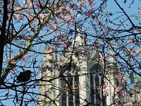 NL, Utrecht, Utrecht 1, Foto Fitis-Sytske Dijksen