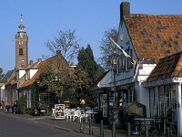 NL, Zeeland, Schouwen-Duiveland, Burgh 2, Saxifraga-Jan van der Straaten