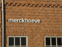 B, Antwerpen, Merksplas, Koekhoven, Merckhoeve 3, Saxifraga-Willem van Kruijsbergen