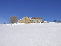 F, Lozere, Pont-de-Montvert, Mas Camargues 1, Saxifraga- Elisabeth Raboin