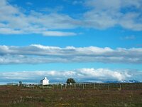 N, Nordland, Andoy, Andoya 15, Saxifraga-Hans Dekker