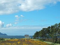 N, Nordland, Andoy, Andoya 27, Saxifraga-Hans Dekker