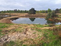 NL, Noord-Brabant, Valkenswaard, Visvijvers in Landgoed Valkenhorst 39, Saxifraga-Tom Heijnen
