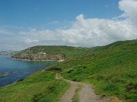 GB, Cornwall, Penzance, SW Coastpath, Sennen Cove-Pendeen 7, Saxifraga-Foto Fitis-Sytske Dijksen