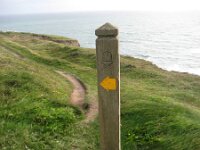 GB, Cornwall, Porthtowan, SW Coastpath, Porthtowan Beach 3, Saxifraga-Foto Fitis-Sytske Dijksen : Cornwall 2012