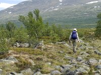 N, Innlandet, Dovre, Fokstumyra 25, Saxifraga-Jan van der Straaten