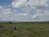 N, Innlandet, Dovre, Fokstumyra 37, Saxifraga-Jan van der Straaten