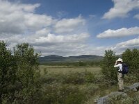 N, Innlandet, Dovre, Fokstumyra 42, Saxifraga-Jan van der Straaten