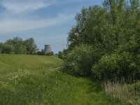 NL, Noord-Brabant, Drimmelen, Kuijpershoek 6, Saxifraga-Jan van der Straaten