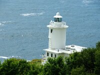 GB, Cornwall, Penzance, Porthcurno, Tater Du 1, Saxifraga-Foto Fitis-Sytske Dijksen