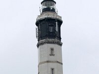 F, Pas-de-Calais, Wissant 19, Saxifraga-Foto Fitis-Sytske Dijksen