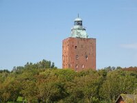 D, Hamburg, Hamburg, Neuwerk 6, Saxifraga-Foto Fitis-Sytske Dijksen