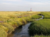 D, Schleswig-Holstein, Westerhever 2, Foto Fitis-Sytske Dijksen