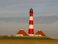 D, Schleswig-Holstein, Westerhever 6, Saxifraga-Foto Fitis-Sytske Dijksen