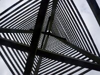 NL, Friesland, Schiermonnikoog, Willemsduin 2, Saxifraga-Foto Fitis-Sytske Dijksen