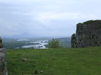 AL, Shkoder, Shkoder 121, Saxifraga-Hans Boll