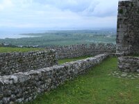 AL, Shkoder, Shkoder 125, Saxifraga-Hans Boll