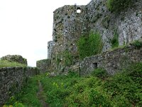 AL, Shkoder, Shkoder 81, Saxifraga-Hans Boll