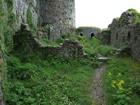 AL, Shkoder, Shkoder 87, Saxifraga-Hans Boll