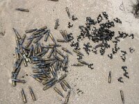 NL, Noord-Holland, Texel, De Hors 135, Saxifraga-Foto Fitis-Sytske Dijksen