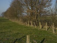 B, Antwerpen, Merksplas, Koekhoven  15, Saxifraga-Willem van Kruijsbergen