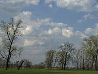B, Antwerpen, Rijkevorsel, Bolkse Brug 4, Saxifraga-Willem van Kruijsbergen
