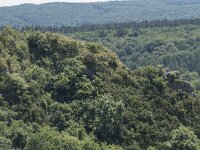 B, Namur, Viroinval, Roche a Lomme 13, Saxifraga-Willem van Kruijsbergen