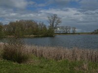 NL, Noord-Brabant, Heusden, Haarsteegse Wiel 4, Saxifraga-Jan van der Straaten
