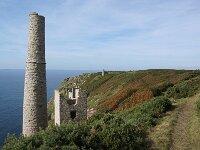 GB, Cornwall, Marazion, SW Coastpath, Michaels Mount 11, Saxifraga-Foto Fitis-Sytske Dijksen