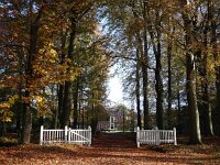 NL, Drenthe, Noordenveld, Westervelde 1, Saxifraga-Hans Dekker