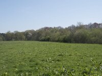 NL, Noord-Brabant, Alphen-Chaam, De Hoevens 27, Saxifraga-Willem van Kruijsbergen