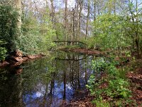 NL, Utrecht, De Bilt, Landgoed Sandwijck 2, Saxifraga-Foto Fitis-Sytske Dijksen